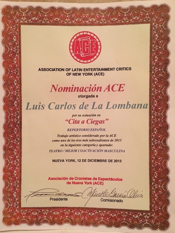 Nominacion Premio ACE 2013_Diciembre (Copiar)